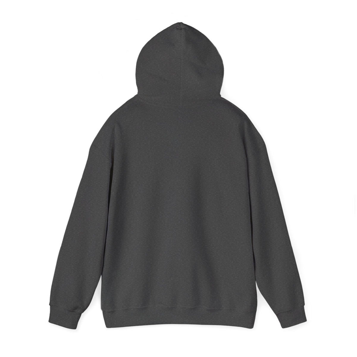 HOODIE "AVALANCHE"
