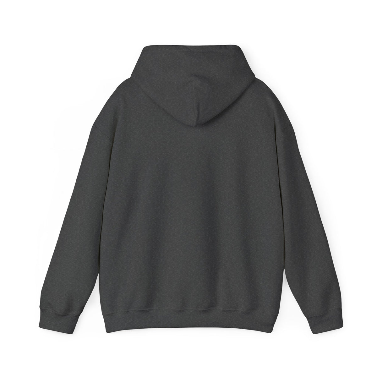 HOODIE "AVALANCHE"